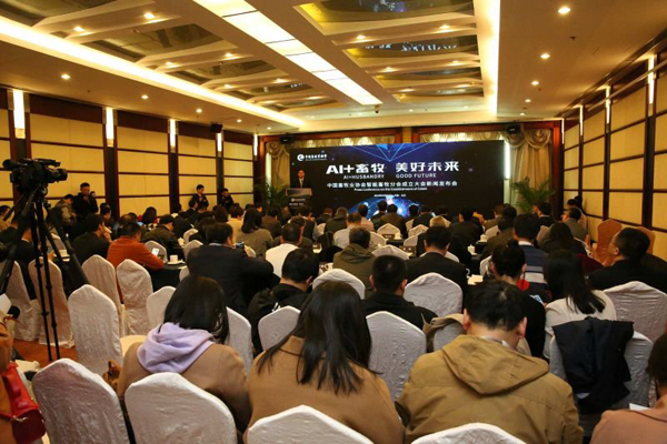 CC����-CC������(����)��¼ƽ̨