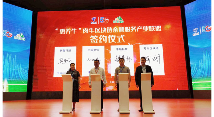 CC����-CC������(����)��¼ƽ̨