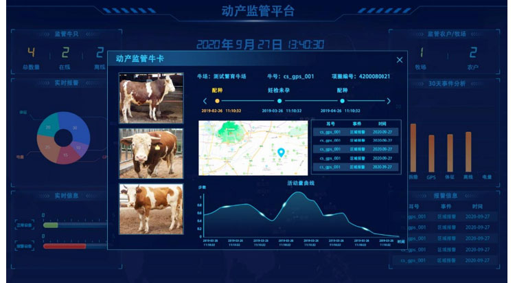 CC����-CC������(����)��¼ƽ̨