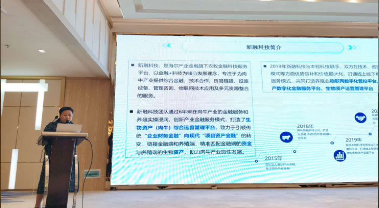 CC����-CC������(����)��¼ƽ̨