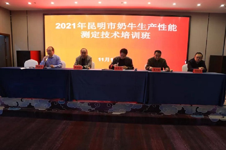 CC����-CC������(����)��¼ƽ̨